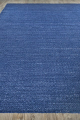 Exquisite Rugs Gamma Indoor/Outdoor Flatweave PET yarn 4899 Blue 3' x 2' Area Rug