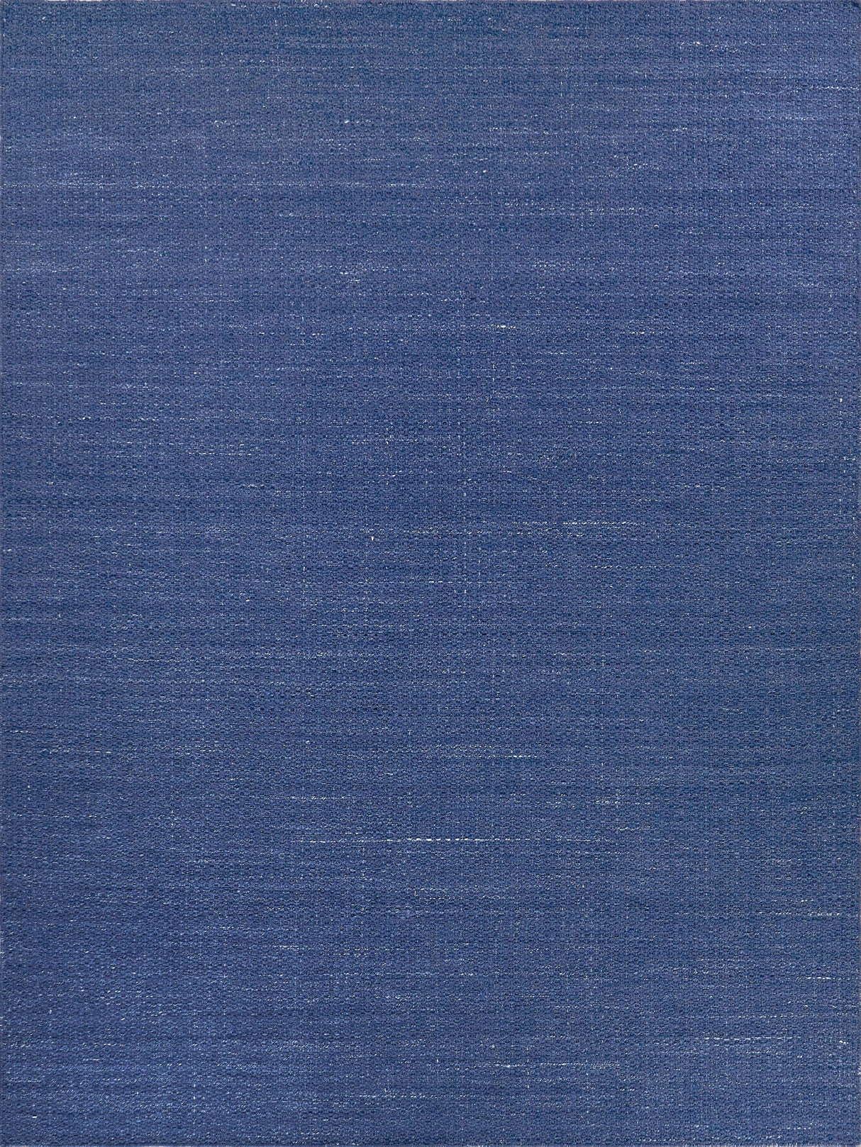 Exquisite Rugs Gamma Indoor/Outdoor Flatweave PET yarn 4899 Blue 2' x 3' Area Rug