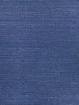 Exquisite Rugs Gamma Indoor/Outdoor Flatweave PET yarn 4899 Blue 2' x 3' Area Rug