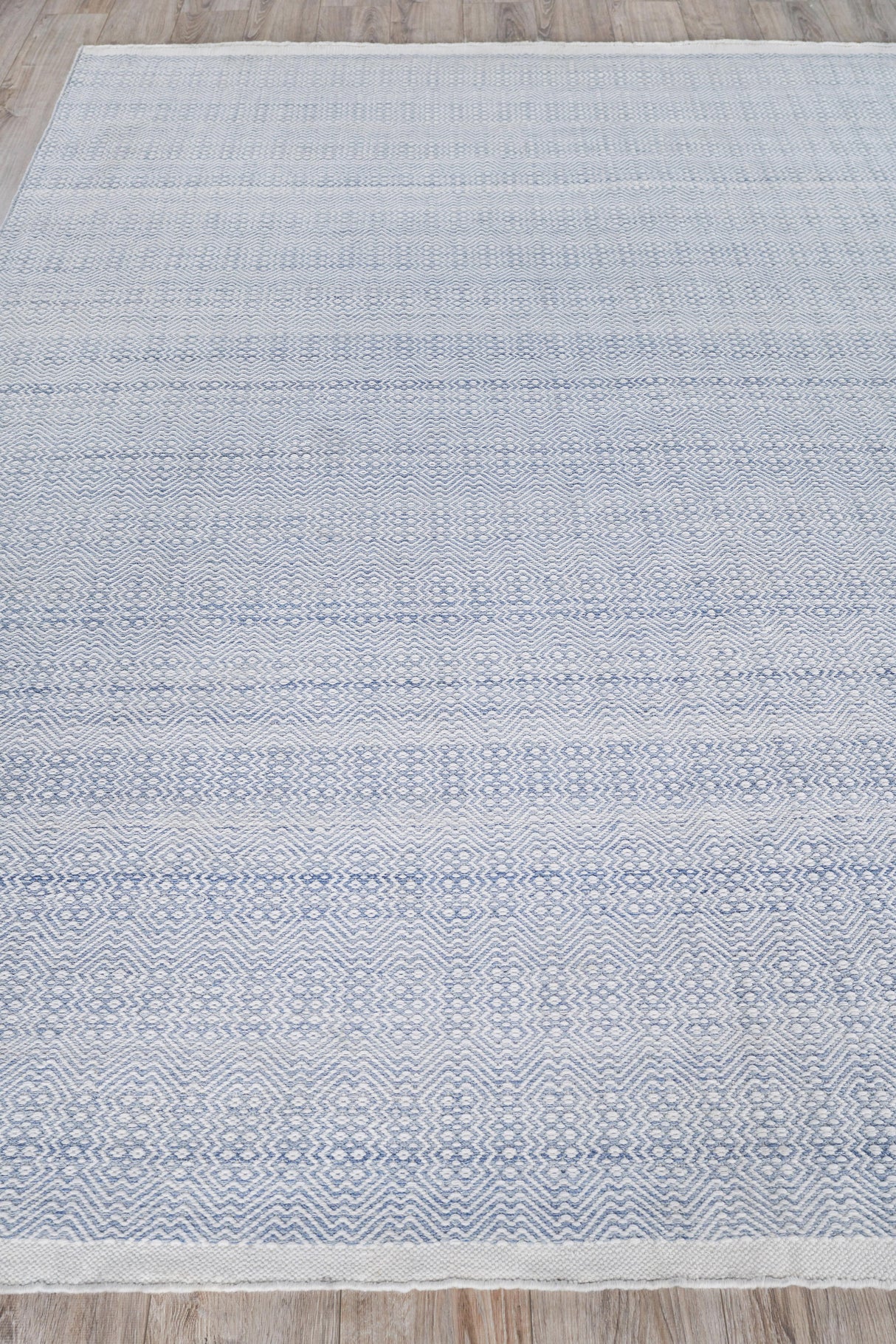 Exquisite Rugs Echo Indoor/Outdoor Flatweave PET yarn 4979 Light Blue 2' x 3' Area Rug