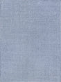 Exquisite Rugs Bali Indoor/Outdoor Flatweave PET yarn 4980 Light Blue 2' x 3' Area Rug