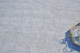 Exquisite Rugs Naples Indoor/Outdoor Flatweave PET yarn 4981 Light Silver 2' x 3' Area Rug