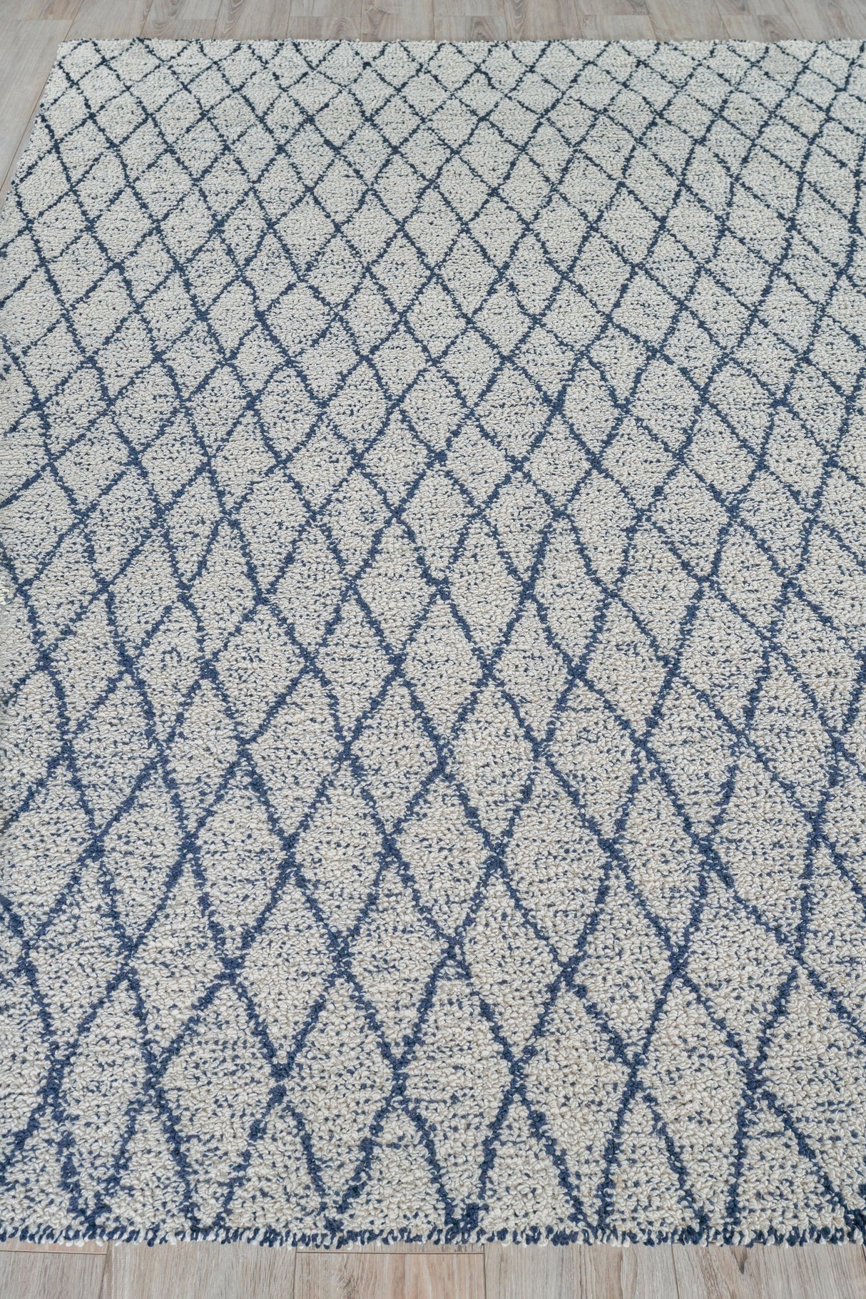 Exquisite Rugs Giorgio Indoor/Outdoor Reversible Flatweave PET yarn 4995 Navy/Ivory 2' x 3' Area Rug