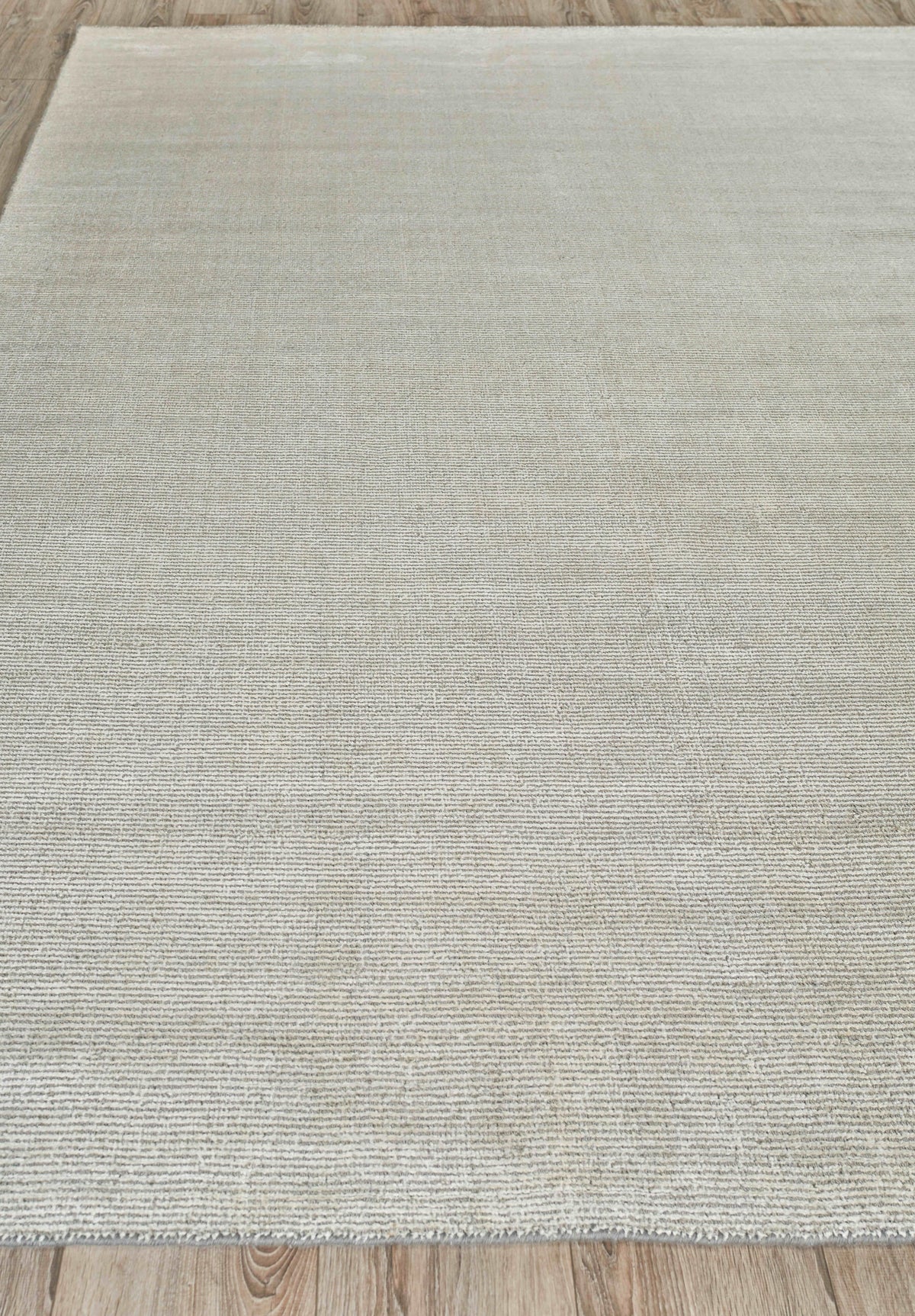 Exquisite Rugs Duo Hand-loomed Wool/Bamboo Silk 5173 White/Gray 2' x 3' Area Rug