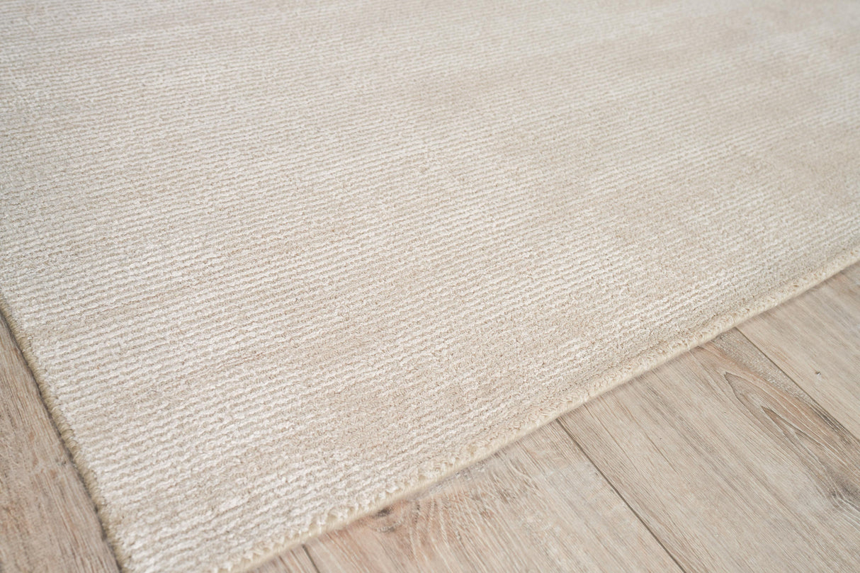 Exquisite Rugs Duo Hand Loomed Wool/Bamboo Silk in 5178 Beige 2' x 3' Area Rug