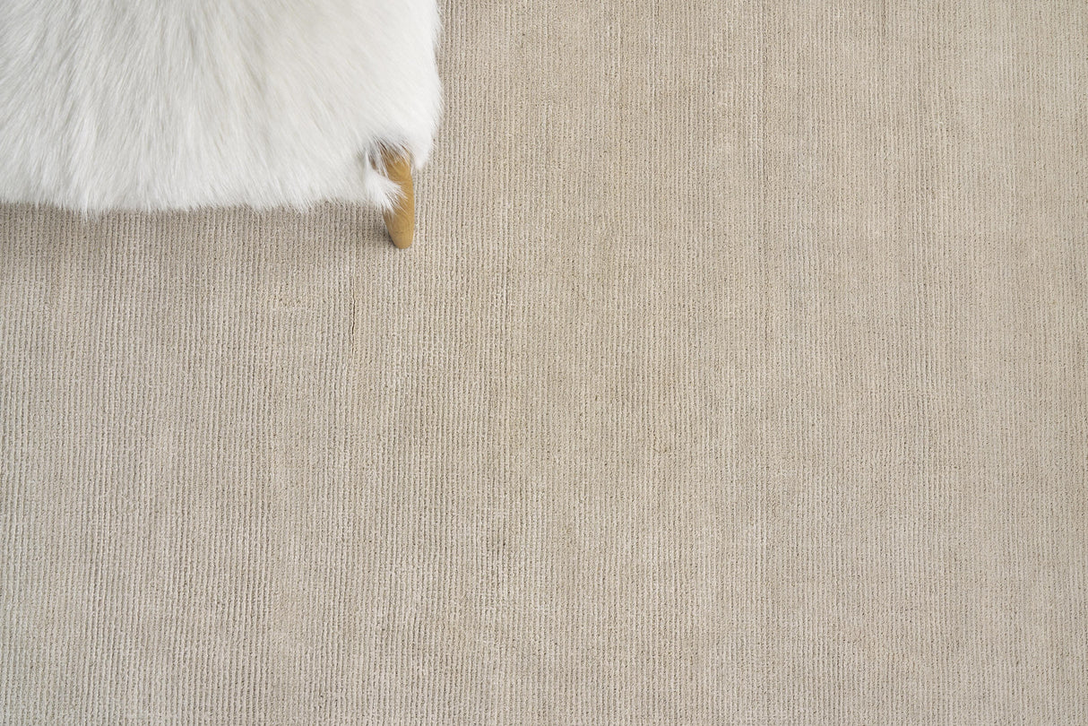 Exquisite Rugs Duo Hand Loomed Wool/Bamboo Silk in 5178 Beige 2' x 3' Area Rug