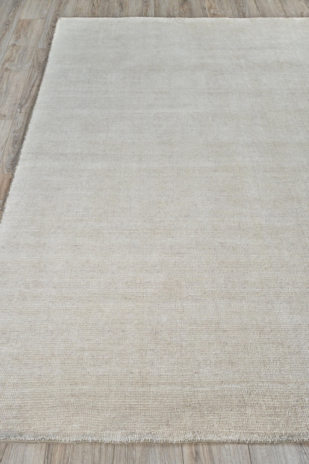 Exquisite Rugs Catalina Hand-loomed Wool/Bamboo Silk 5214 Silver 2' x 3' Area Rug