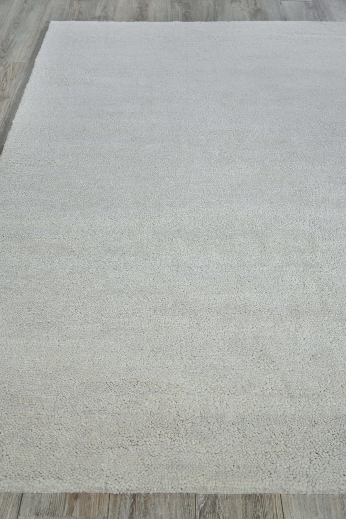 Exquisite Rugs Merino Hand-knotted Merino Wool 5393 Beige 2' x 3' Area Rug