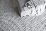 Exquisite Rugs Monroe Silk Handloomed Bamboo Silk and New Zealand Wool 5625 Light Silver 2' x 3' Area Rug
