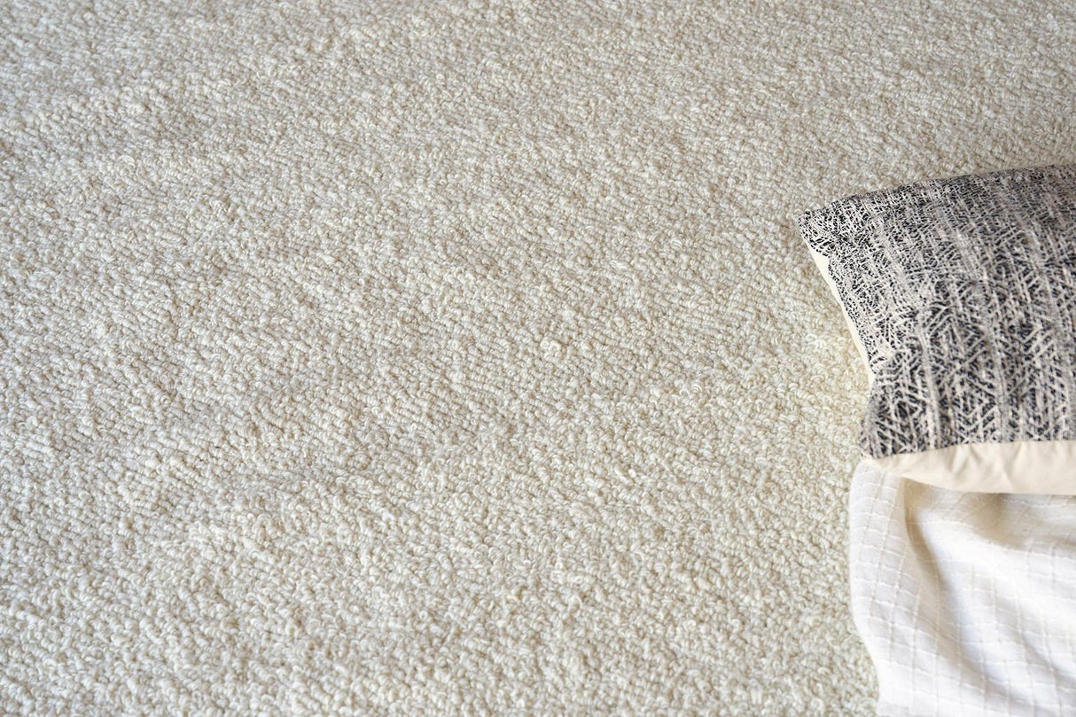 Exquisite Rugs Ferretti Handloomed New Zealand Wool 5753 Ivory 2' x 3' Area Rug