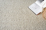 Exquisite Rugs Ferretti Handloomed New Zealand Wool 5752 Silver/Ivory 2' x 3' Area Rug