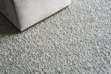 Exquisite Rugs Ferretti Handloomed New Zealand Wool 5755 Light Gray/Ivory 2' x 3' Area Rug