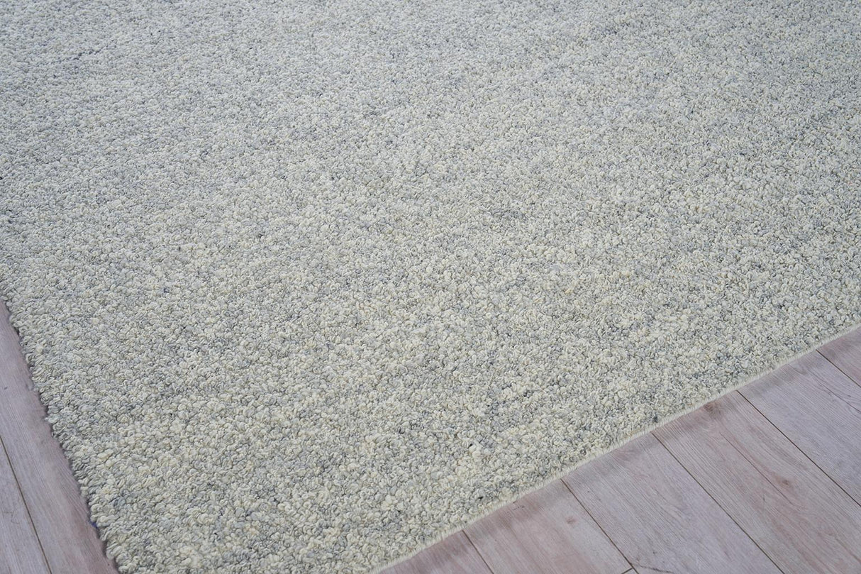 Exquisite Rugs Ferretti Handloomed New Zealand Wool 5755 Light Gray/Ivory 2' x 3' Area Rug
