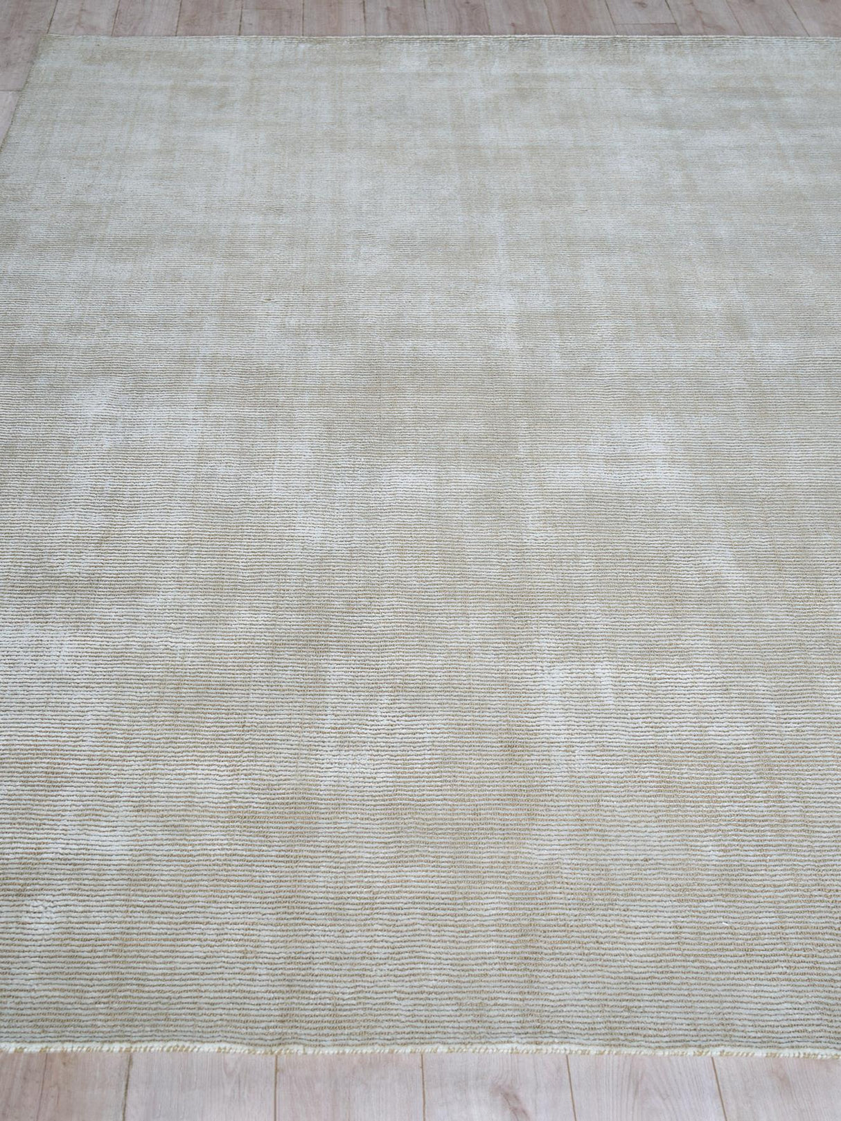 Exquisite Rugs Serena Hand Loomed Nylon/Bamboo Silk in 5772 Beige 8' x 10' Area Rug