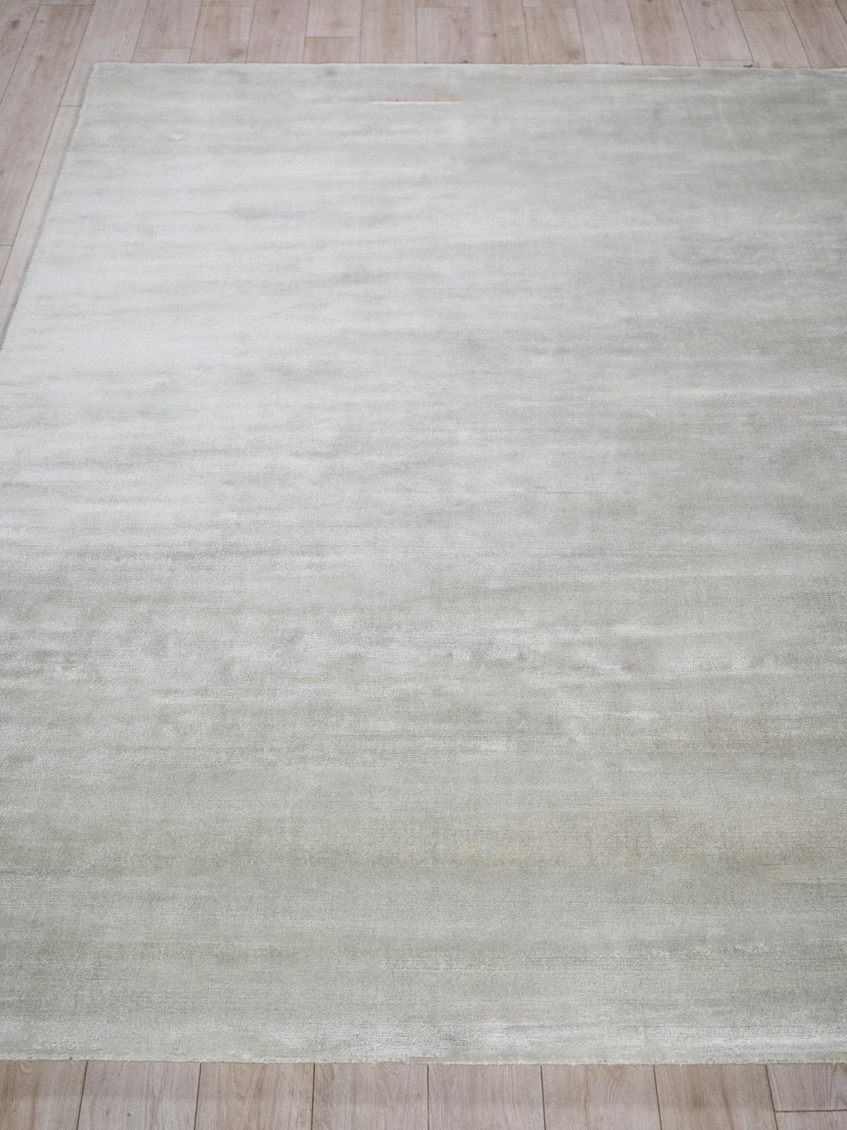 Exquisite Rugs Velutto Modern Handmade Silky Nylon in 6538 Light Silver 2' x 3' Area Rug