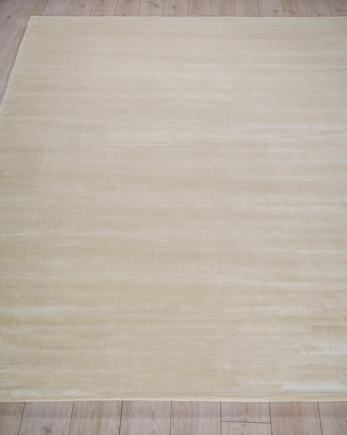 Exquisite Rugs Exquisite Rugs Velutto Modern Handmade Silky Nylon in 6541 Light Beige 2' x 3' Area Rug