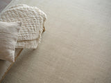 Exquisite Rugs Exquisite Rugs Velutto Modern Handmade Silky Nylon in 6541 Light Beige 2' x 3' Area Rug