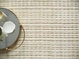 Exquisite Rugs Cabrini Modern Handmade Silky Nylon in 6733 Light Beige 10' x 14' Area Rug