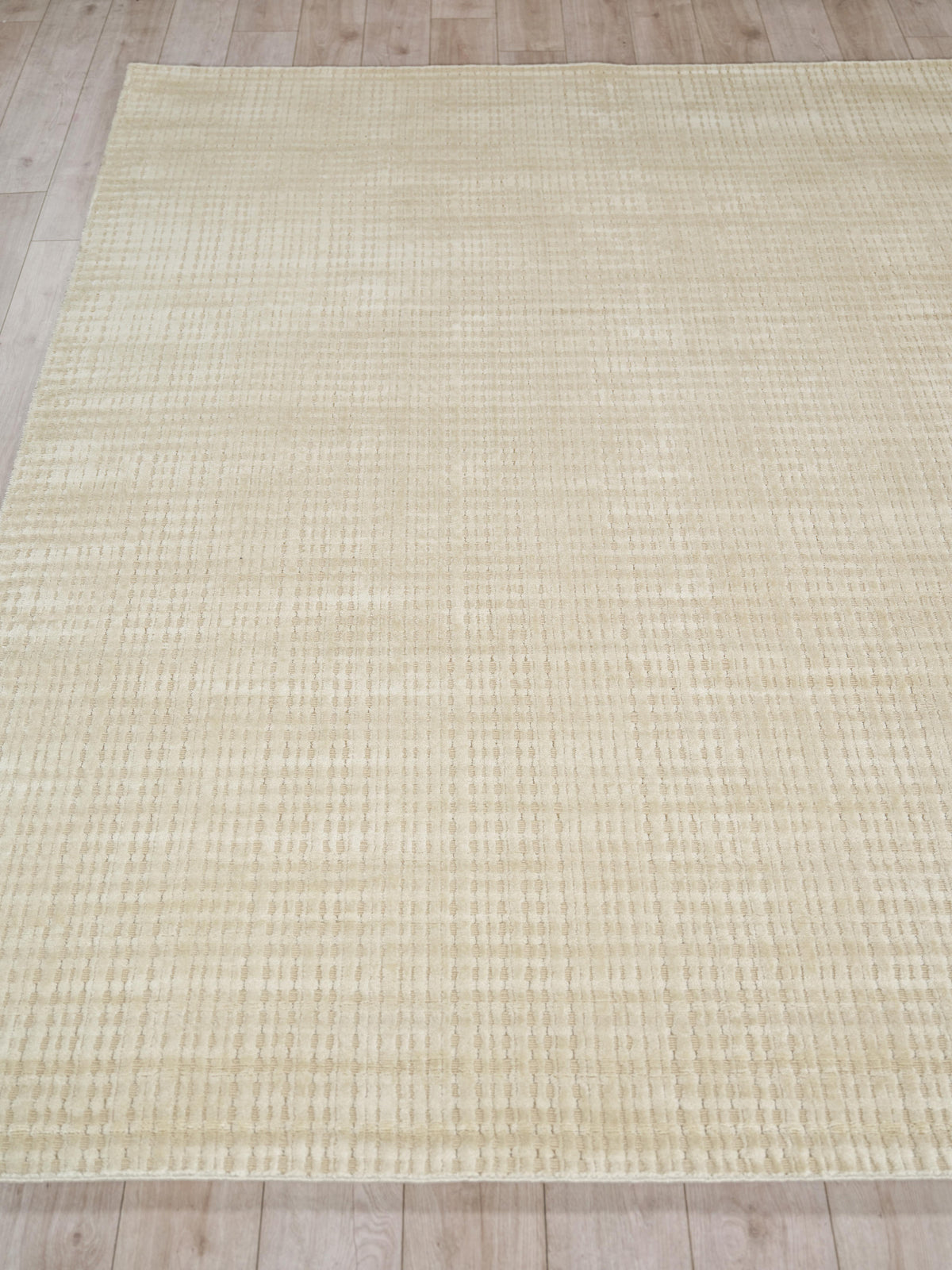 Exquisite Rugs Cabrini Modern Handmade Silky Nylon in 6733 Light Beige 2' x 3' Area Rug