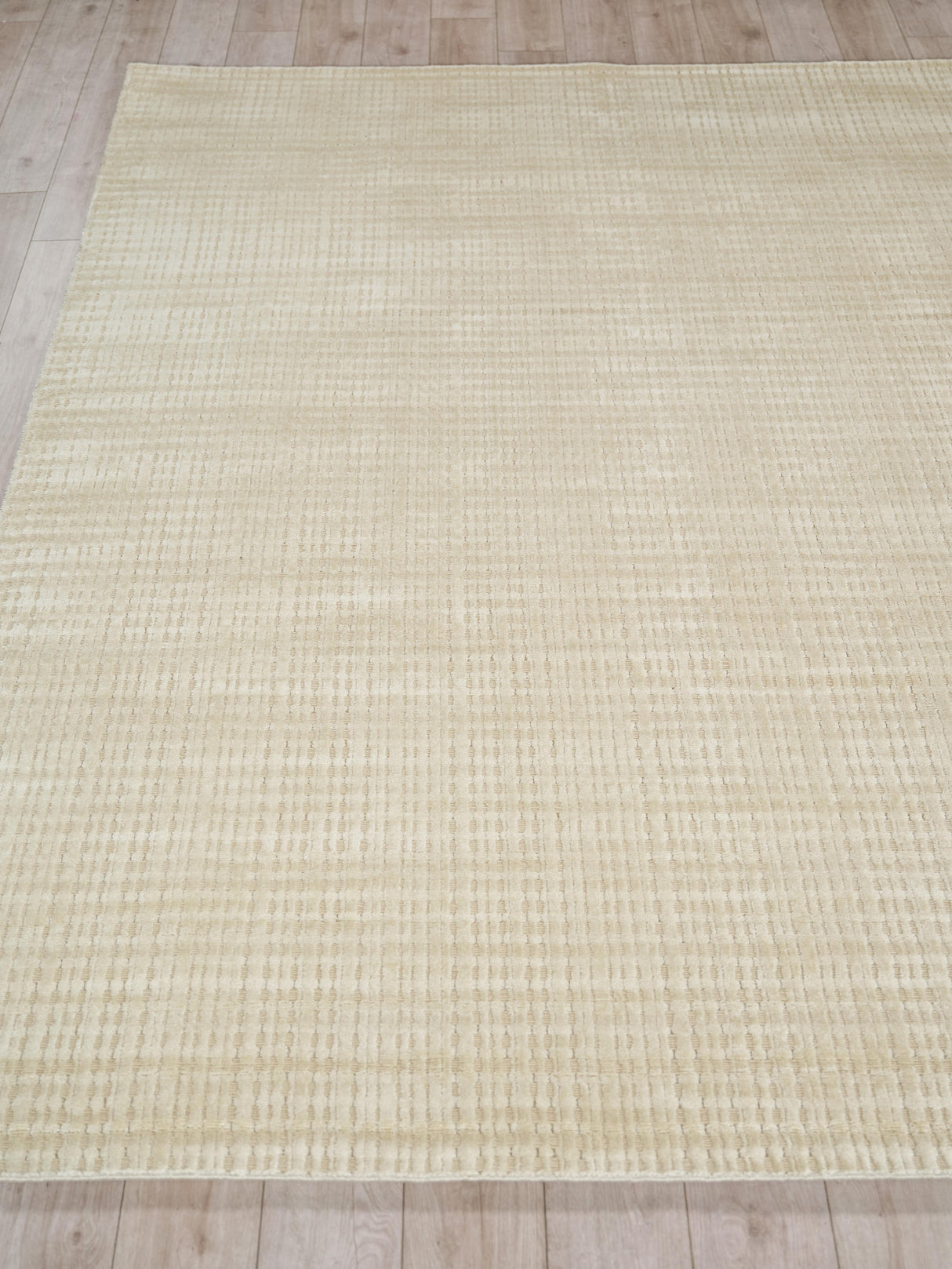 Exquisite Rugs Cabrini Modern Handmade Silky Nylon in 6733 Light Beige 6' x 9' Area Rug
