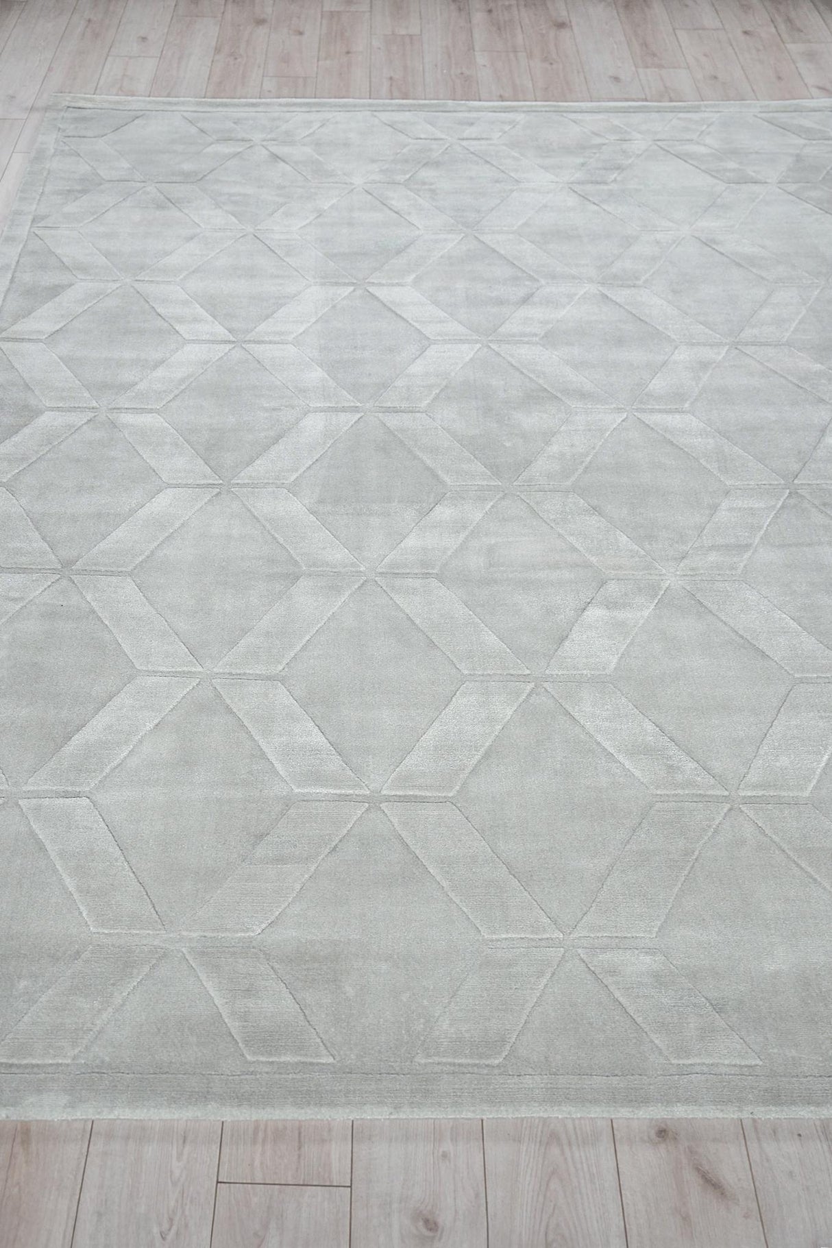 Exquisite Rugs Brunello Modern Handloomed Shiny Nylon 6736 Light Silver 2' x 3' Area Rug