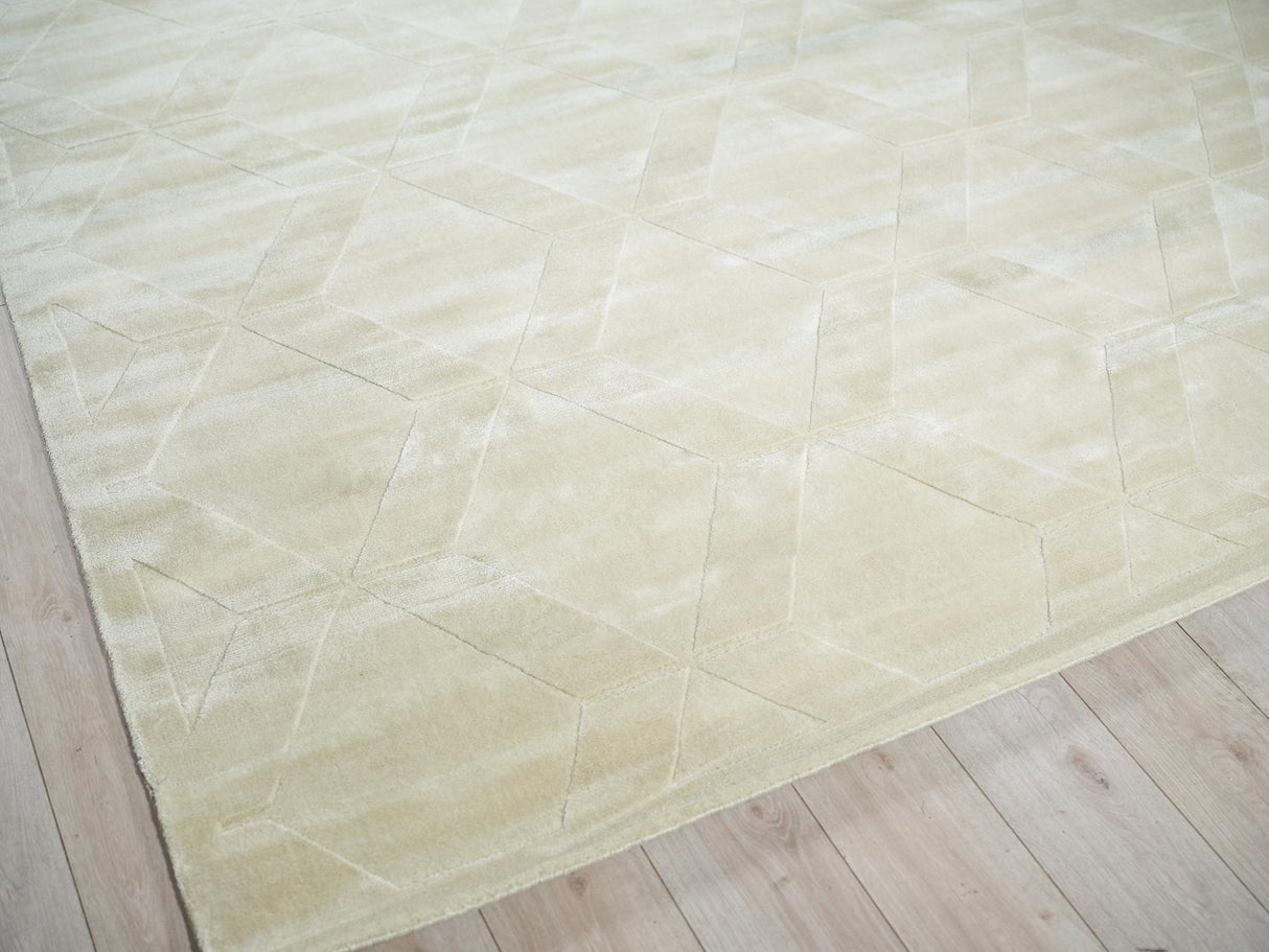 Exquisite Rugs Brunello Modern Handmade Silky Nylon in 6739 Light Beige 2' x 3' Area Rug