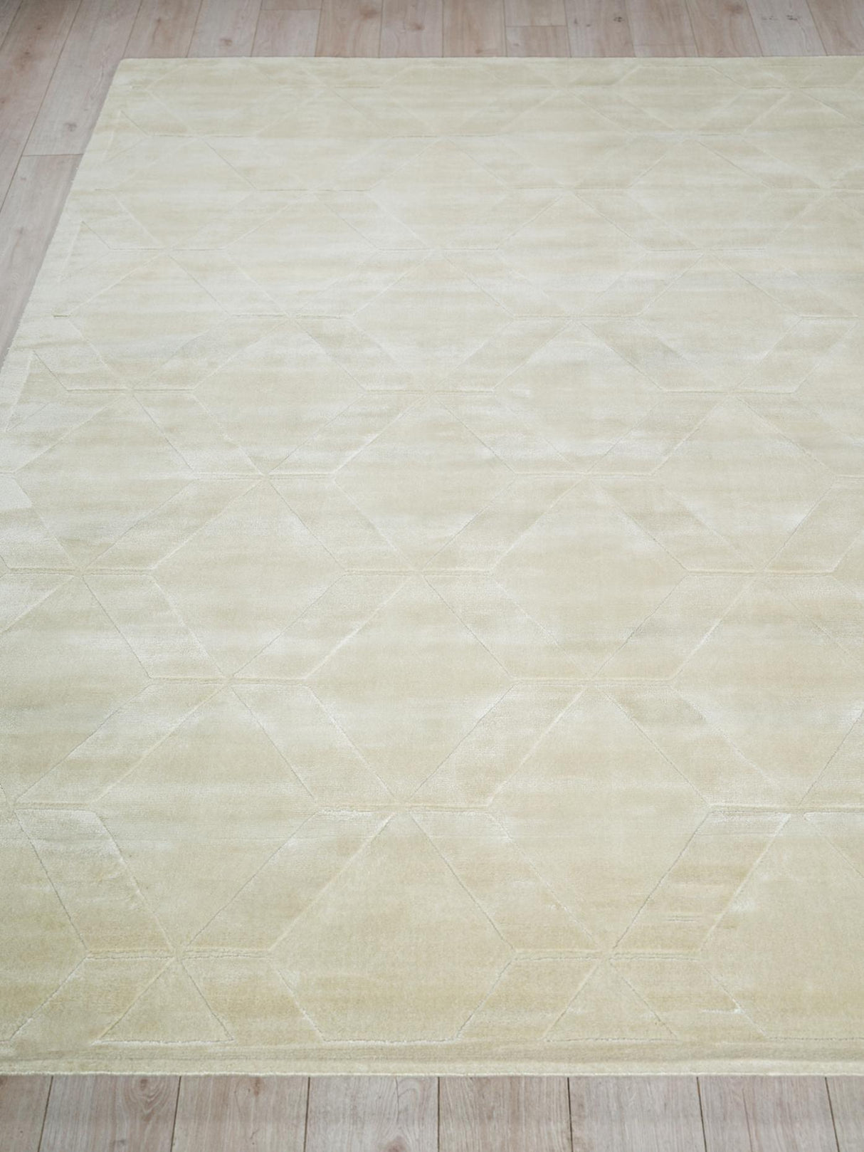 Exquisite Rugs Brunello Modern Handmade Silky Nylon in 6739 Light Beige 2' x 3' Area Rug