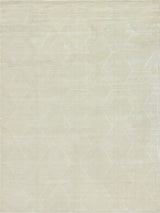 Exquisite Rugs Brunello Modern Handmade Silky Nylon in 6739 Light Beige 2' x 3' Area Rug