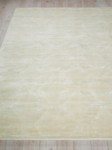 Exquisite Rugs Brunello Modern Handmade Silky Nylon in 6739 Light Beige 6' x 9' Area Rug
