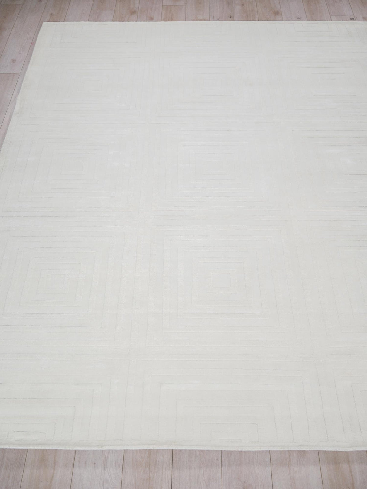 Exquisite Rugs Tovello Modern Handmade Silky Nylon in 6746 White 10' x 8' Area Rug