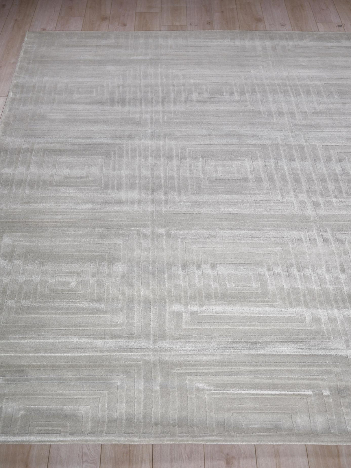 Exquisite Rugs Tovello Modern Handmade Silky Nylon in 6747 Light Silver 4' x 5' Area Rug
