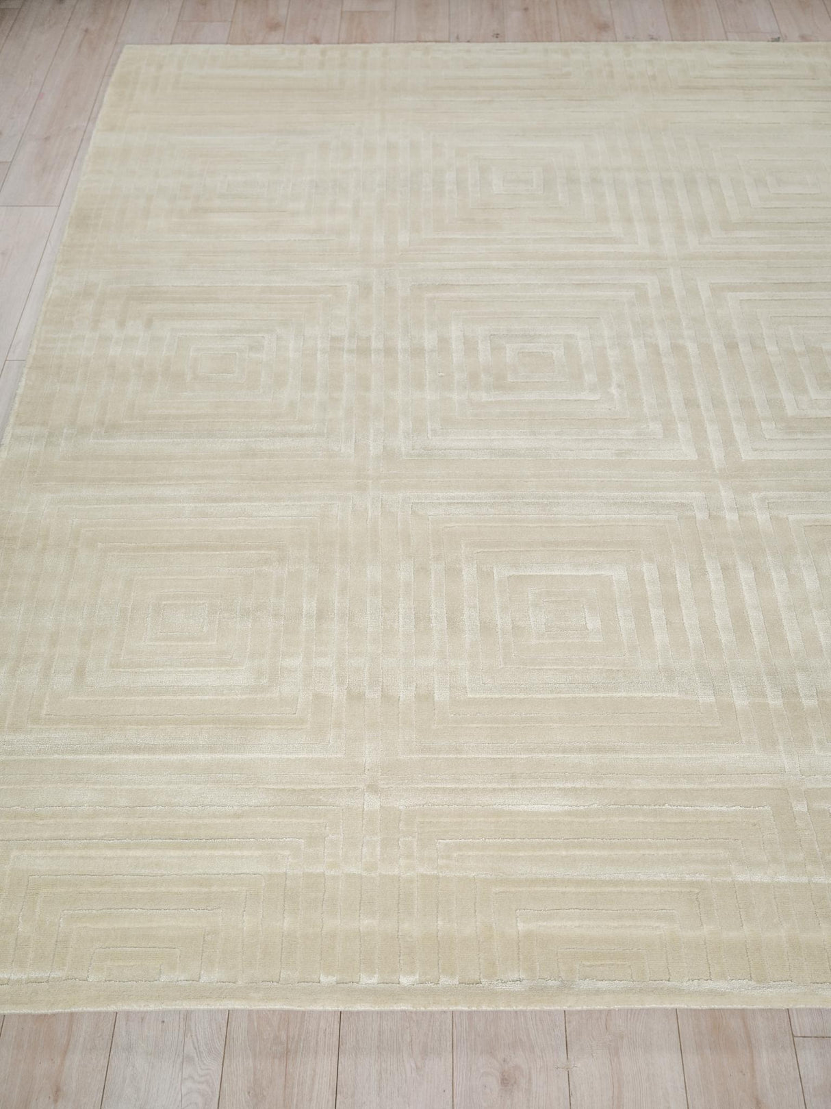 Exquisite Rugs Tovello Modern Handmade Silky Nylon in 6750 Beige 10' x 8' Area Rug