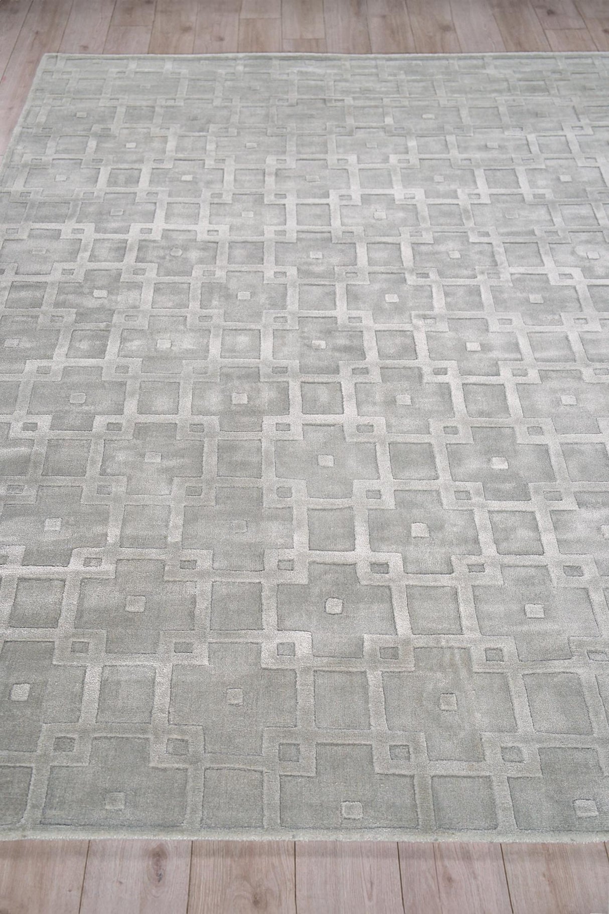 Exquisite Rugs Camora Modern Handmade Handloomed Silky Nylon 6753 Light Silver 2' x 3' Area Rug