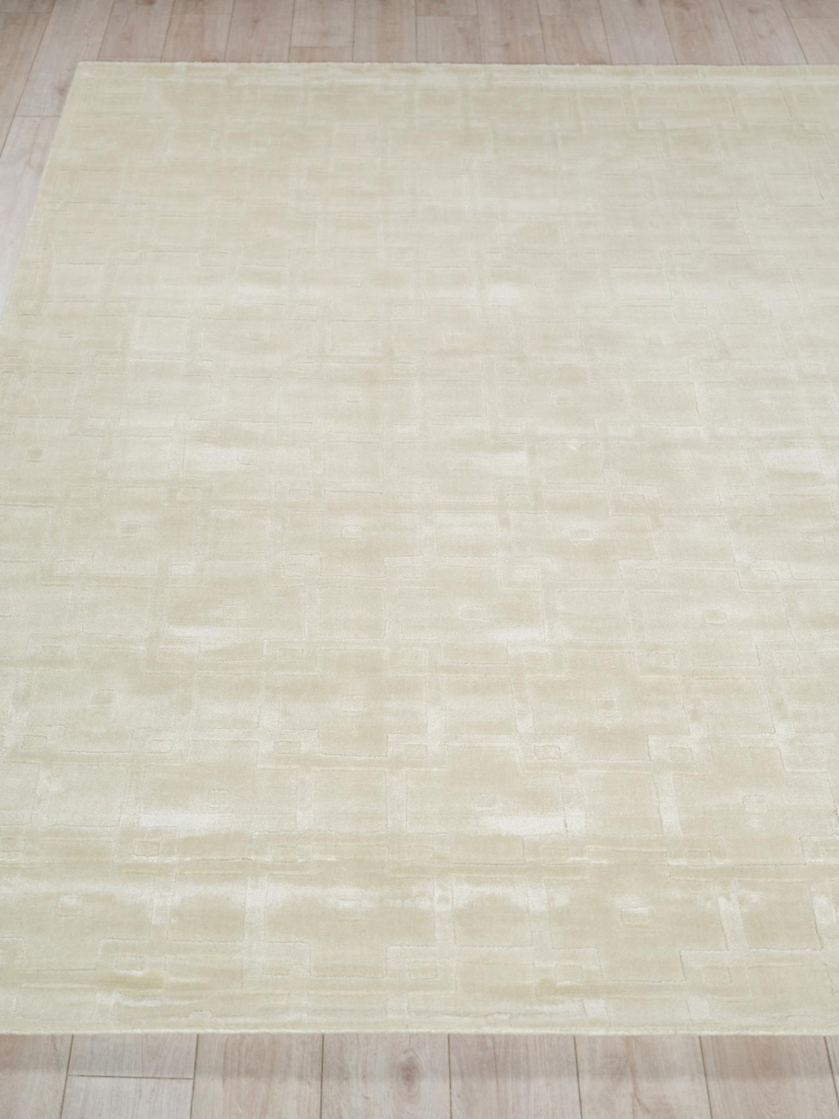 Exquisite Rugs Camora Modern Handmade Silky Nylon in 6755 Beige 9' x 12' Area Rug