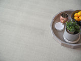 Exquisite Rugs Pavia Modern Handmade Silky Nylon in 6758 Light Silver 10' x 14' Area Rug