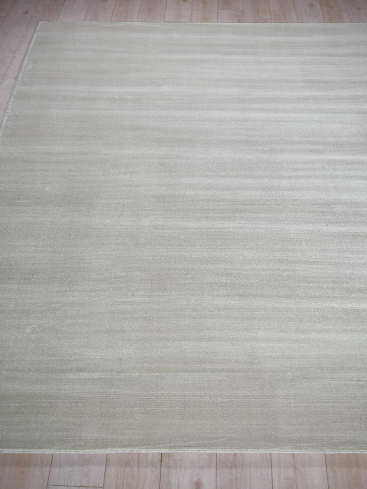 Exquisite Rugs Pavia Modern Handmade Silky Nylon in 6758 Light Silver 2' x 3' Area Rug