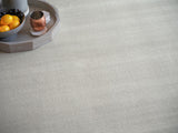Exquisite Rugs Pavia Modern Handmade Silky Nylon in 6758 Light Silver 6' x 9' Area Rug