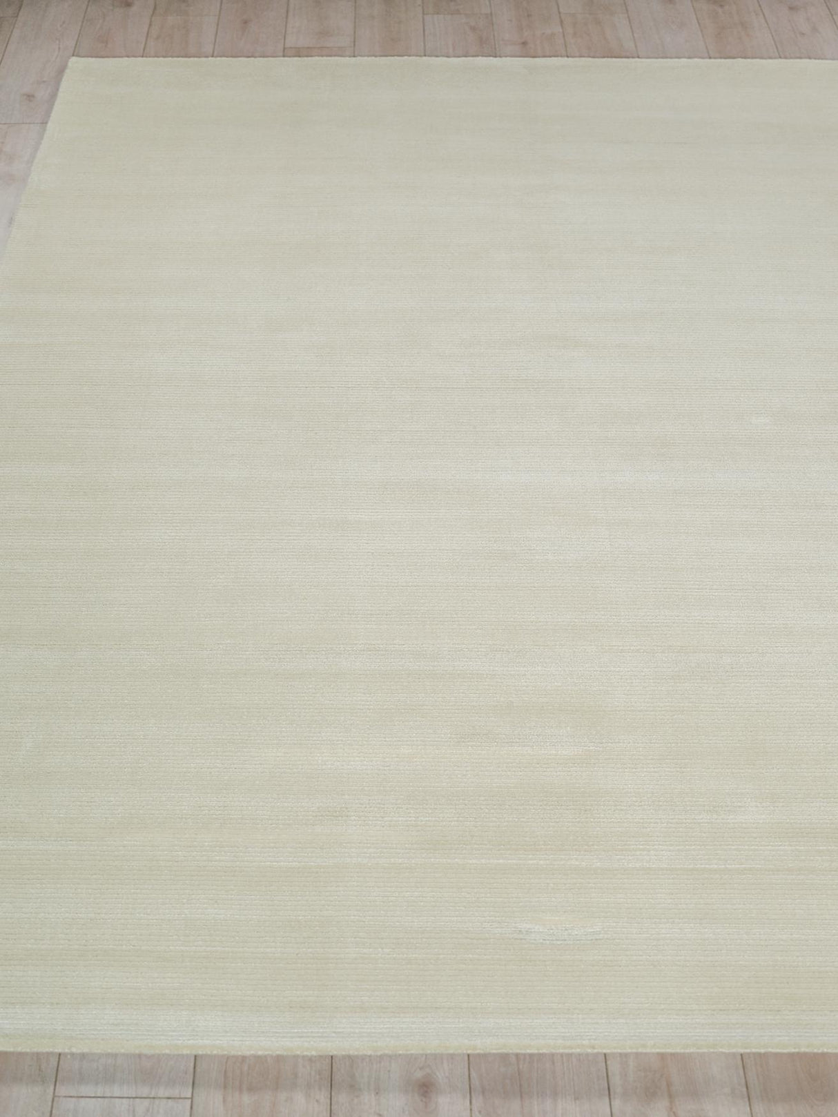 Exquisite Rugs Pavia Modern Handmade Silky Nylon in 6761 Beige 8' x 10' Area Rug