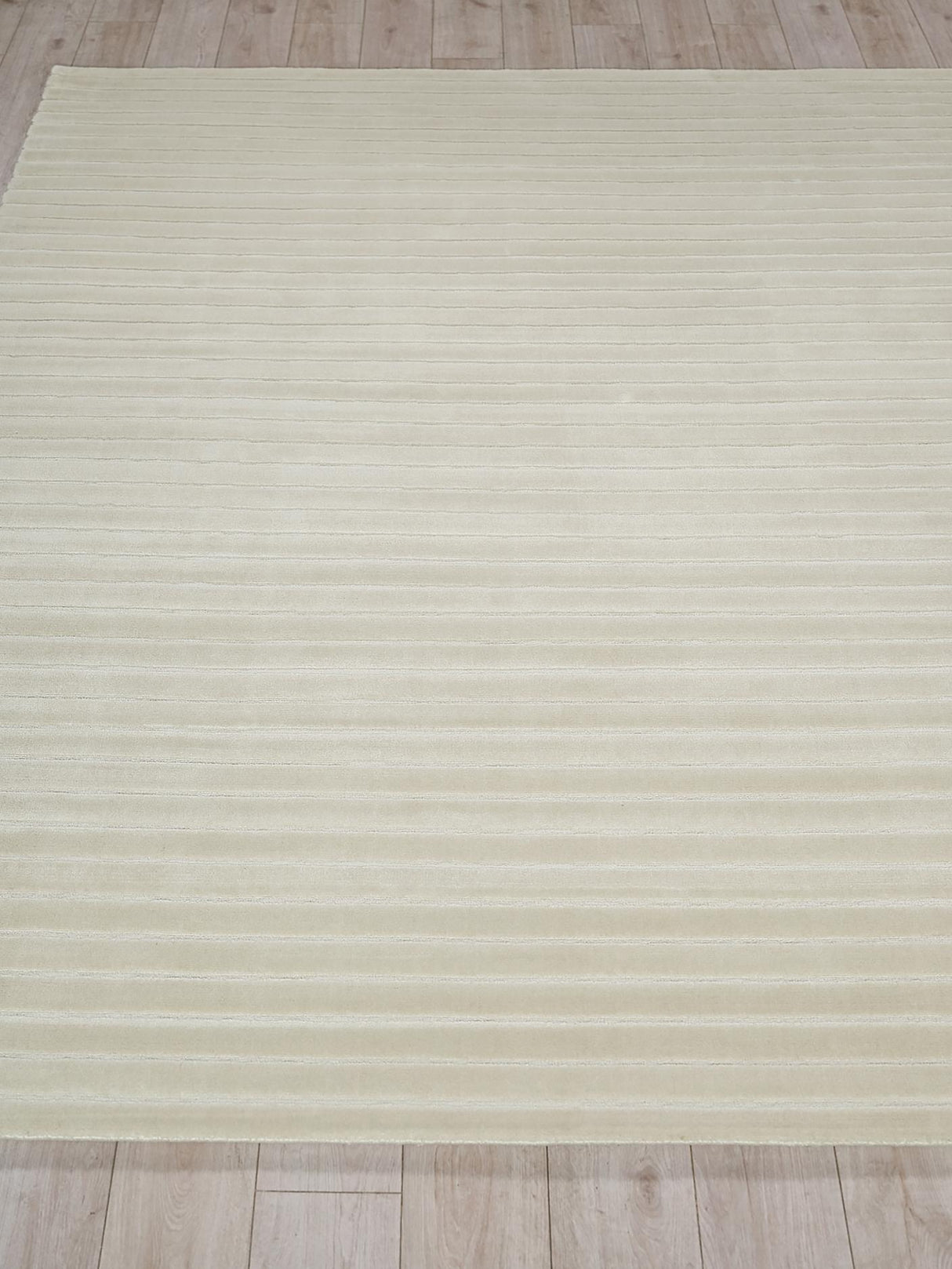 Exquisite Rugs Amani Modern Handmade Silky Nylon in 6767 Beige 4' x 6' Area Rug