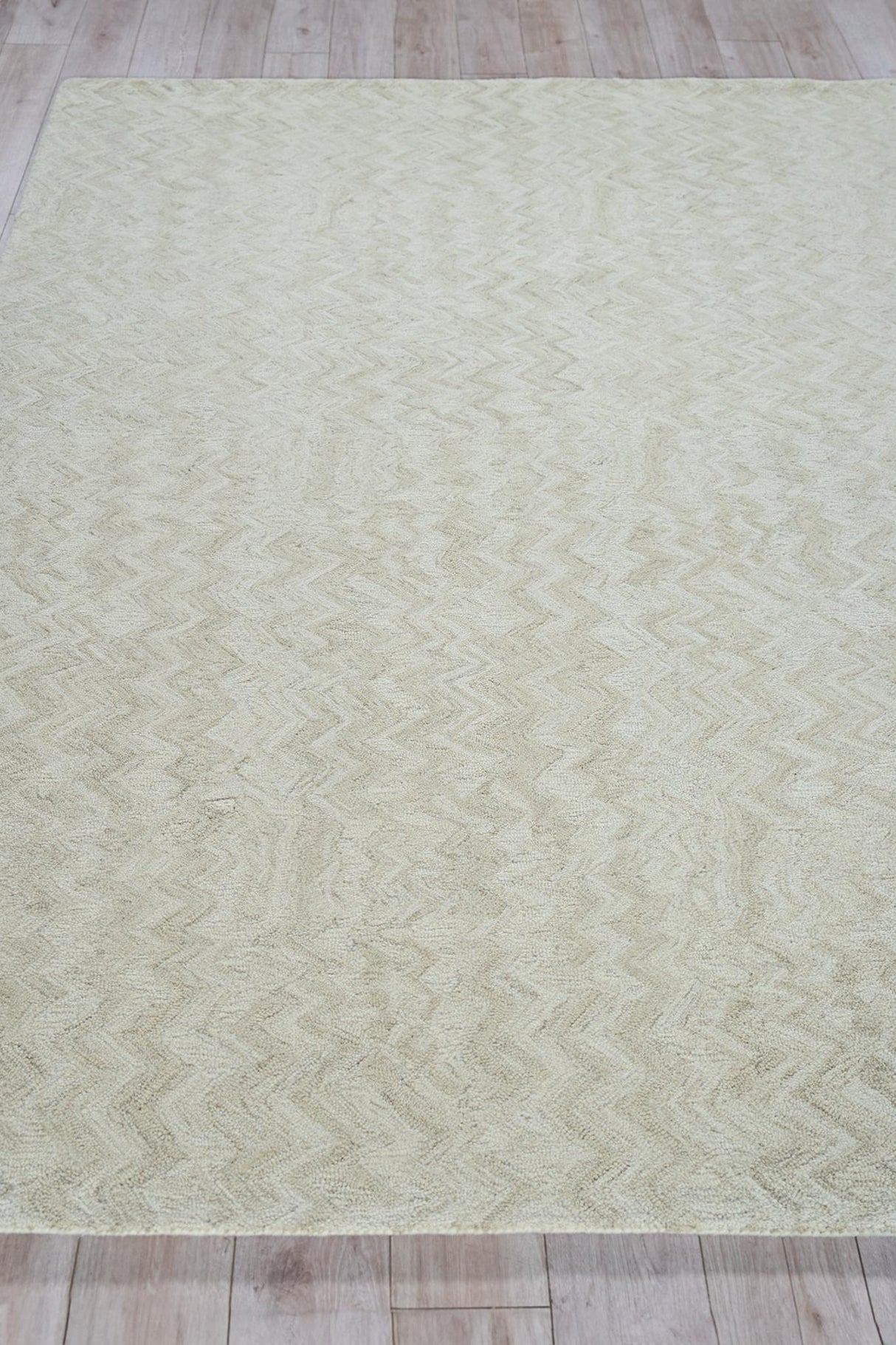 Exquisite Rugs Veneta Handmade Hand-tufted New Zealand Wool on Canvas 6774 Beige 2' x 3' Area Rug