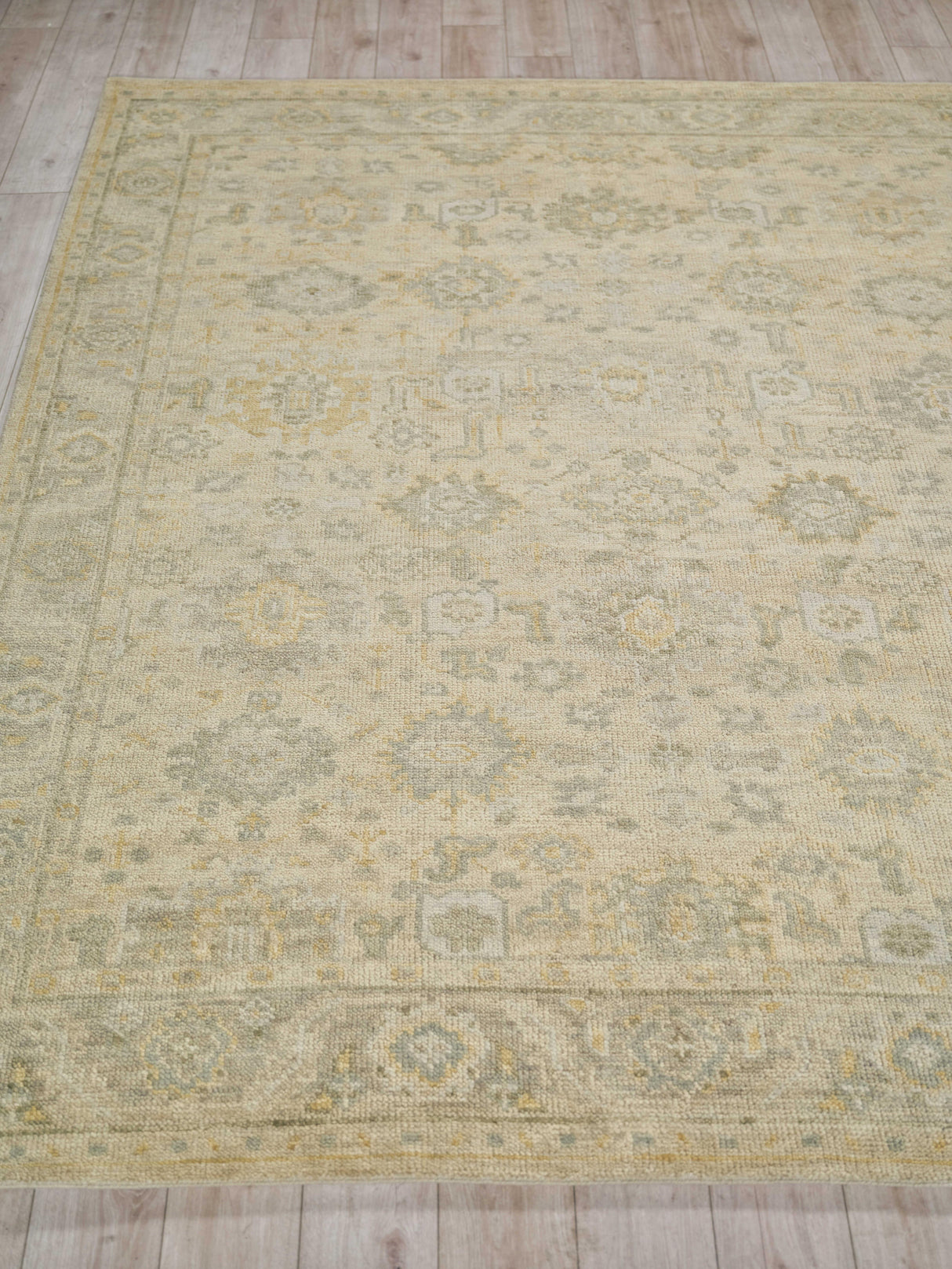 Exquisite Rugs Verano Hand Knotted New Zealand Wool in 7129 Ivory/Silver 2' x 3' Area Rug