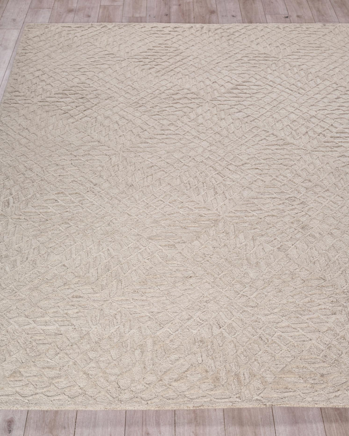 Exquisite Rugs Exquisite Rugs Sandro Handmade New Zealand Wool in 7150 Silver 2' x 3' Area Rug