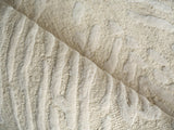 Exquisite Rugs Entro Hand Tufted New Zealand Wool in 7179 Cream/Ivory 14' x 18' Area Rug