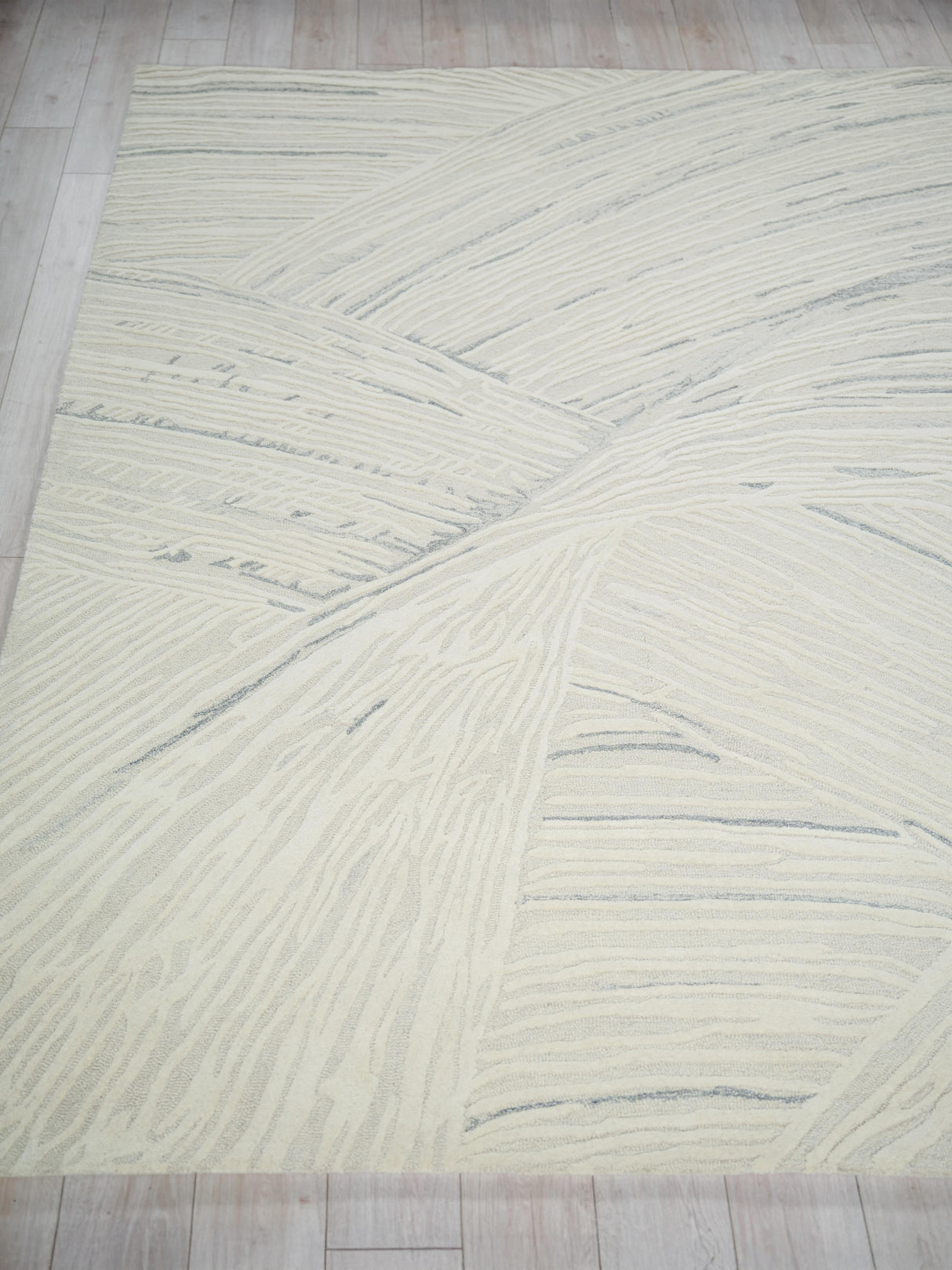 Exquisite Rugs Entro Hand Tufted New Zealand Wool in 7318 Silver/Ivory 9' x 12' Area Rug