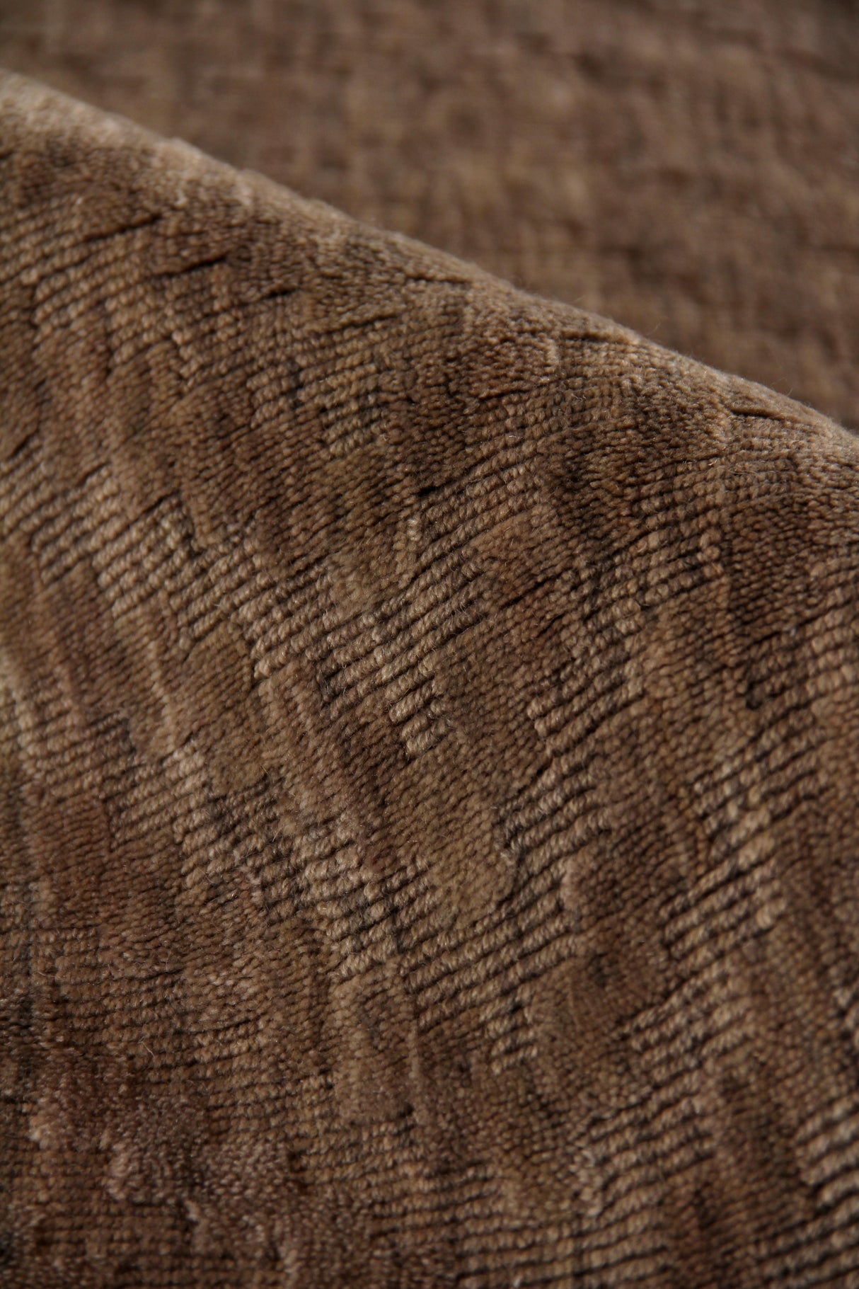 Exquisite Rugs Demani Hand Loomed New Zealand Wool in 9947 Flax 9' x 12' Area Rug