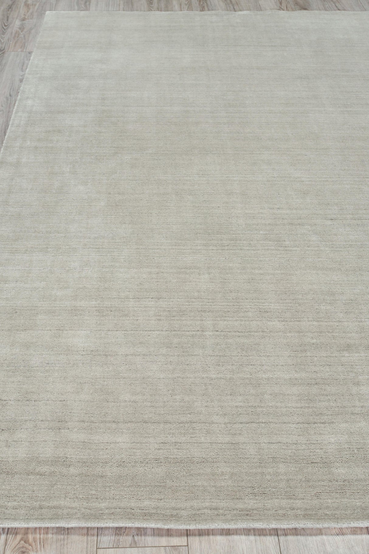 Exquisite Rugs Sanctuary Hand-loomed Bamboo Silk/Wool 9961 Taupe 2' x 3' Area Rug