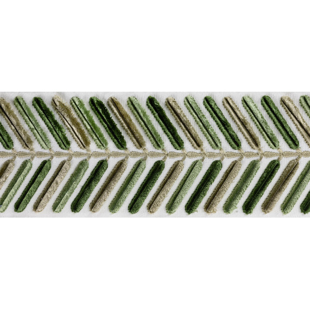 Lee Jofa WINGFIELD EMB TAPE GREEN Trim