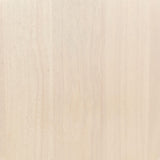 ZUO Tyce Dining Chair (Set of 2) Natural