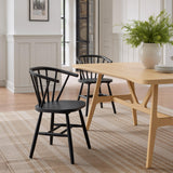 ZUO Stenger Dining Chair (Set of 2) Black