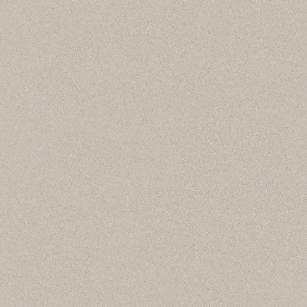 ZUO Zeal Dining Chair (Set of 4) Light Gray